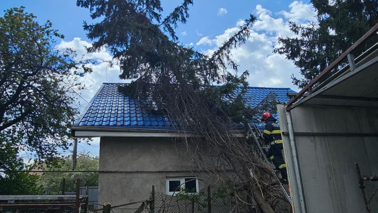 Haos în Neamț după furtună: mii de oameni fără electricitate, stâlpi prăbușiți și trafic blocat