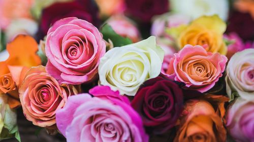 Studiu: „Cele mai romantice orașe din țară”, în funcție de comenzile de flori / Topul produselor comandate de Valentine’s Day