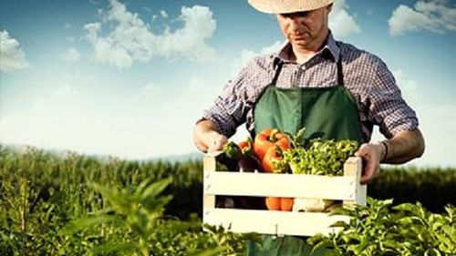 Comisia Europeană a lansat o campanie publică privind politica de promovare a produselor agroalimentare. E pus la bătaie și un concurs cu premii: 10 excursii la Bruxelles, la Parlamentul European