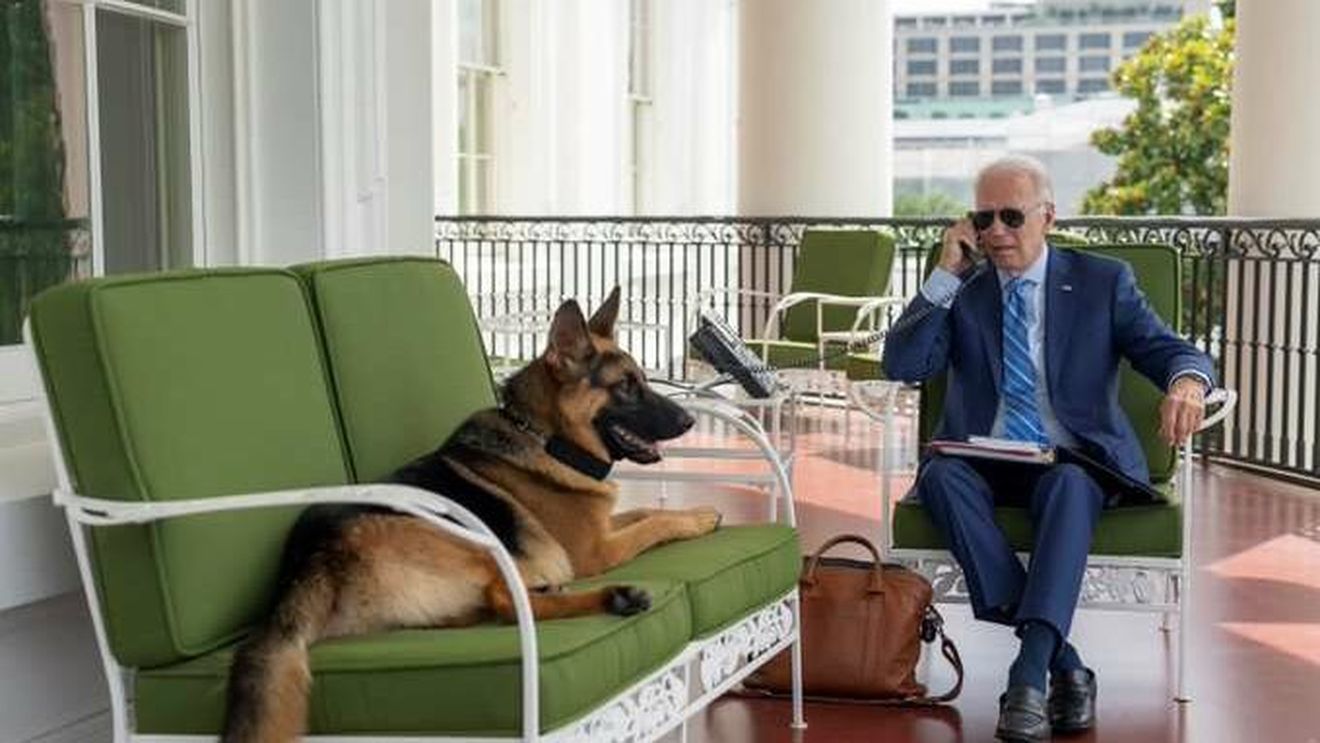 Unul dintre câinii lui Biden a provocat mai multe incidente la Casa Albă. Un agent al Secret Service chiar a ajuns la spital