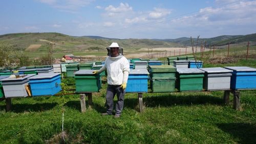 Cooperativele agricole tinere, încă o șansă pentru agricultura din România. Poate ultima (P)