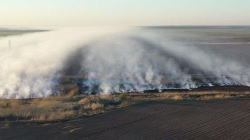 VIDEO Poluare masivă lângă București: Ard resturi de la fosta fermă de porci din Periș, intrată în insolvență și care în trecut a făcut afaceri cu firmele controlate de Liviu Dragnea