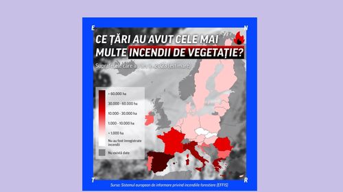 HARTĂ Incendiile de vegetație fac ravagii în Europa. Cele mai afectate țări sunt Spania, Italia și Grecia / România, pe locul 5 în Uniunea Europeană, cu peste 15.000 de hectare mistuite 