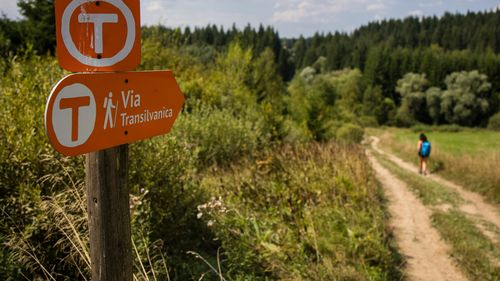 MedLife devine partener de sănătate și wellbeing în proiectul Via Transilvanica, „drumul care unește”