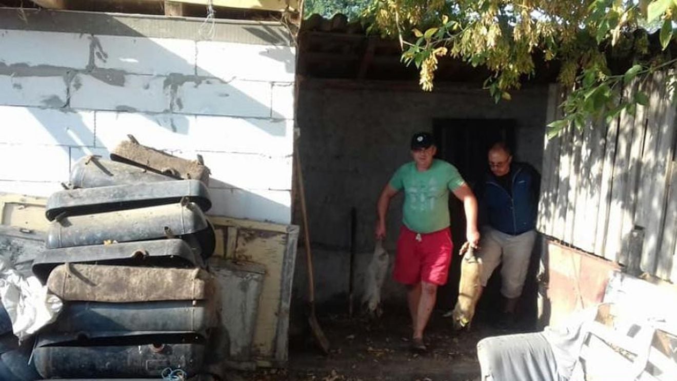 Prefectul de Dolj: S-a creat o isterie din cauza pestei porcine. Toți își sacrifică animalele fără motiv. În Filiași nu mai erau la vânzare lăzi frigorifice