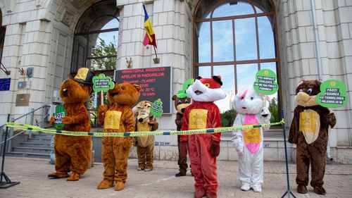 FOTO Protestatari îmbrăcați în animale sălbatice, în fața Ministerului Mediului: Sunt homeless, mi-au tăiat pădurea / Comunitatea Declic cere sisteme moderne de monitorizare a pădurilor / Ce a răspuns ministrul Tanczos Barna