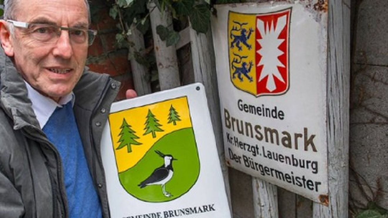 Un sat din Germania a rămas fără primar din cauza Brexitului. Primarul și-a pierdut definitiv dreptul de a vota