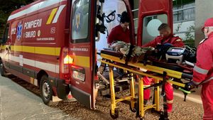 Un șofer băut a provocat un accident în Botoșani / Fiica și sora sa, care erau cu el în mașină, sunt în comă