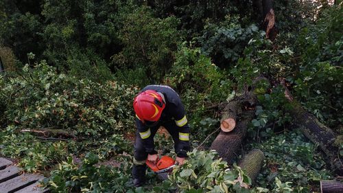 Trafic blocat pe DN15 în județul Harghita / Cabluri de electricitate şi arbori au căzut pe șosea din cauza vântului puternic