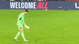 VIDEO Faza zilei: Un șobolan a întrerupt meciul de fotbal dintre Țara Galilor și Belgia