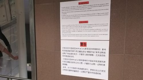 VIDEO Afișe cu avertizări despre coronavirus pe Aeroportul Henri Coandă