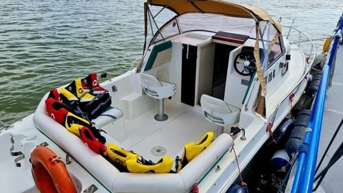 Renasc micile croaziere pe Dunăre între Galați, Brăila, Tulcea și Delta Dunării. O firmă privată reușește acolo unde statul a eșuat