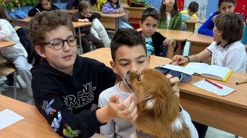 Zile decisive pentru opționalul „Ora cu și pentru animale”. Apelul lansat de Hilde Tudora pentru ca materia să fie extinsă la nivel național: „Vă rog din tot sufletul! E cel mai important proiect pentru mine!”