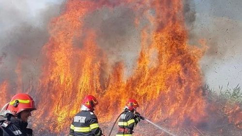 Un incendiu de vegetație a izbucnit după ce un stâlp de înaltă tensiune a căzut peste un vagon de marfar