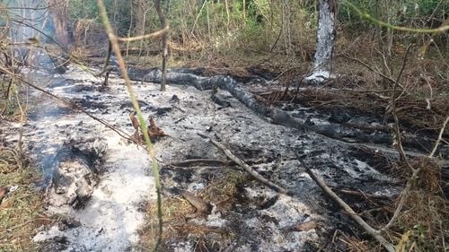 Al doilea mesaj de alertă în 24 de ore privind dronele care ar putea să cadă în localitățile din Tulcea, la graniță cu Ucraina / Localnicii susțin că trei drone ar fi căzut la Plauru, în urma exploziilor de marți spre miercuri / Ucraina: Trei drone ar fi putut trece granița cu România