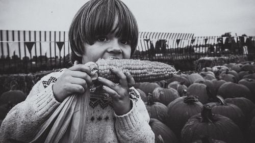 Unde a dispărut „gustul copilăriei”? Explicațiile prorector al Universității de Științele Vieții Iași: S-au schimbat și gusturile noastre, dar și lumea a evoluat