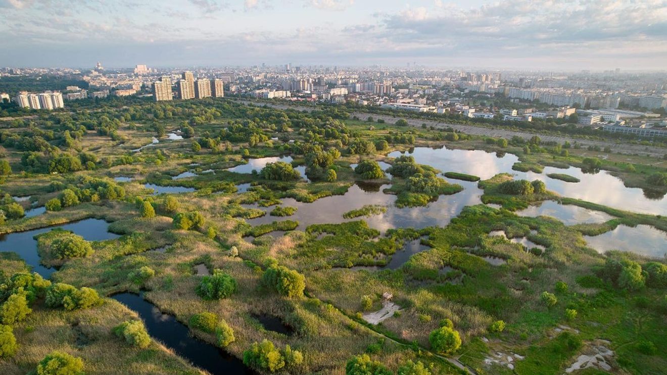 Regulamentul de funcţionare a Parcului Natural Văcăreşti, în dezbatere publică pentru zece zile