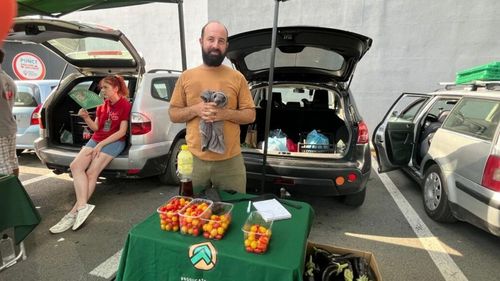 Fermier cu valoare adăugată: Un designer grafic și soția lui, specialist în marketing și publicitate, au vrut doar să fugă de oraș și au ajuns să aibă o mică plantație eco în Maramureș / Cultivă inclusiv unii dintre cei mai iuți ardei din lume