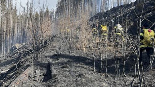 Continuă stingerea incendiului de vegetație izbucnit în munții Făgăraș / Au ars până acum aproximativ 11 hectare de vegetație uscată și litieră de pădure