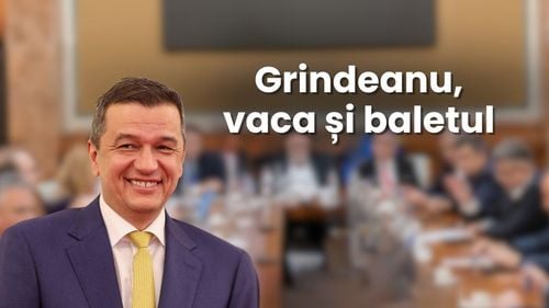 Grindeanu, vaca și baletul