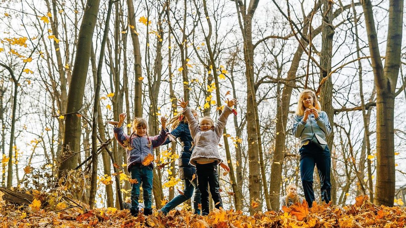 Destinații inedite: unde poți merge cu copiii din ciclul preșcolar și cel primar în vacanța de la sfârșitul lui octombrie