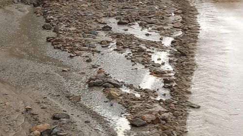 Drumuri inundate în județul Hunedoara/ Peste 100 de maşini cu mai mult de 200 de persoane, blocate de aluviuni în zona Câmpul lui Neag/ Șapte mașini cu turişti, între care şi copii,  blocate pe drumul spre Sarmizegetusa Regia