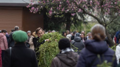 GALERIE FOTO Primul pelerinaj de Florii cu restricții zero post-pandemie: Sute de pelerini, ramuri de salcie și magnolii înflorite