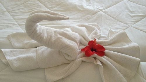 Efectele pandemiei: Cursurile cu fonduri europene pentru cameriste și bucătari, amânate până la finalul stării de alertă / Participanții, nemulțumiți că nu îşi pot primi diplomele și banii