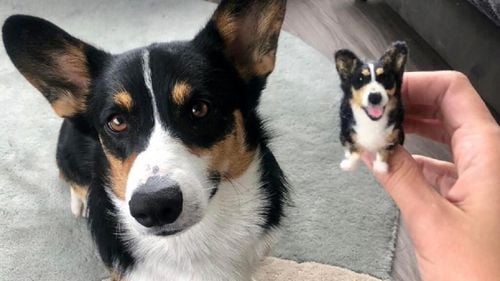 O artistă ingenioasă „micșorează” animalele de companie în replici adorabile. Tânăra de 29 de ani a transformat un hobby într-o afacere de succes