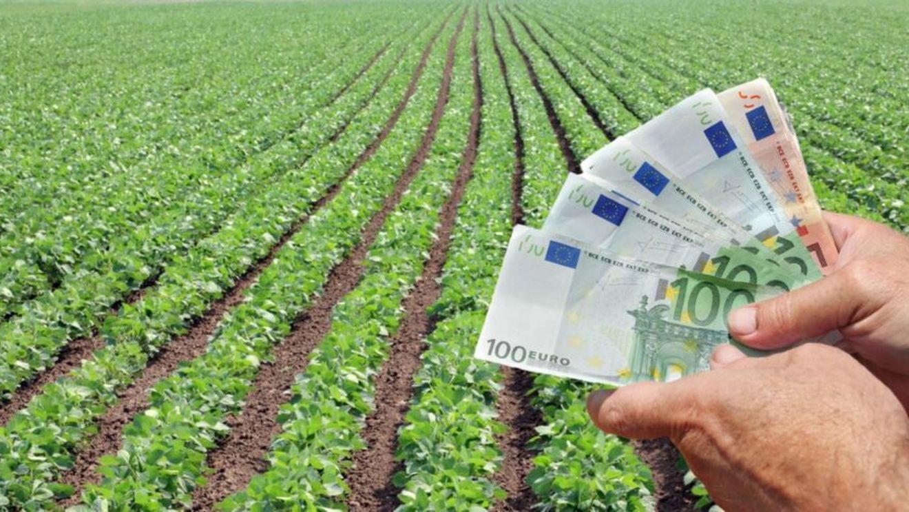 Condiţionalitatea socială, obligatorie pentru fermieri din 2025 dacă vor să primească plăţi directe şi compensatorii