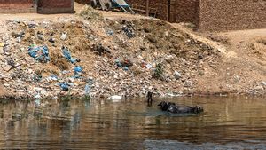 Un pescar de pe Nil câștigă mai mult din colectarea plasticului decât din pescuit (reportaj The Guardian)