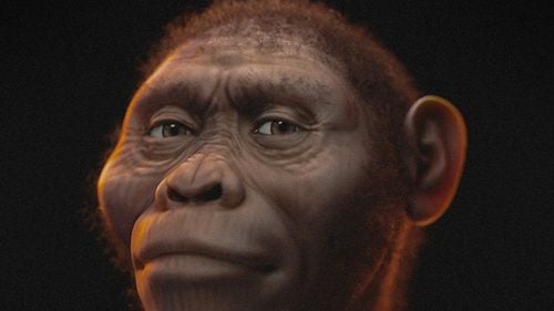„Adevăratul chip” al lui Lucy, cel mai faimos strămoș al omenirii