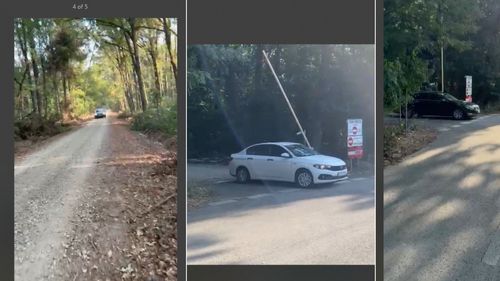 Federația Greenfield a deschis traficul auto prin Pădurea Băneasa, printr-un gest unilateral, „în calitate de beneficiar al contractului cu Romsilva” / Filmări cu mașini - martori / Surse: Romsilva cedează în folosință trei drumuri, nu doar unul singur