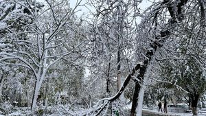Cod galben de vânt în cea mai mare parte a Moldovei, în vestul Olteniei şi pe litoral / Zăpadă viscolită la munte