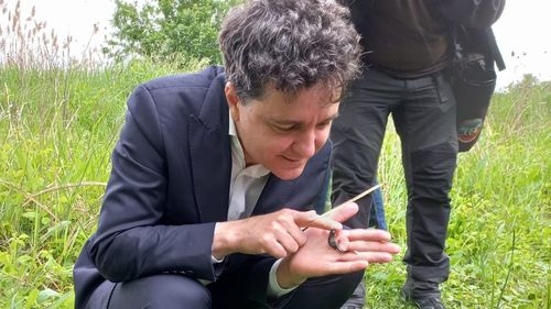 Ciprian Ciucu despre Nicușor Dan: Cer mai mult focus pe investiții și mai puțin pe mormoloci și alte chestii. Nu știu ce se întâmplă la Primărie, trag un semnal de alarmă