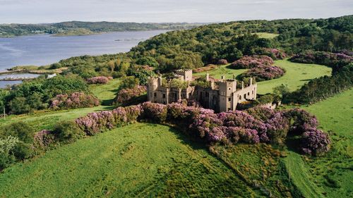 Un proiect european aduce în actualitate mirosuri dispărute ale istoriei, cu ajutorul IA. Inclusiv „mirosul iadului”