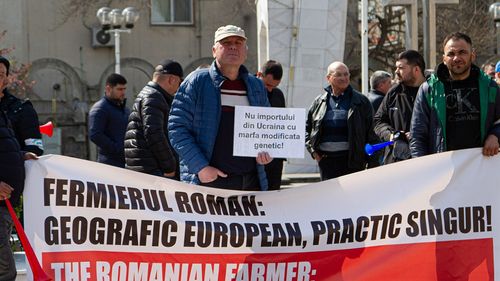 ”O parte dintre fermieri au refuzat să vândă anul trecut, iar piața s-a întors împotriva lor/ Comisia Europeană a luat ca reper producția de cereale din 2022, când a fost secetă, în locul mediei ultimilor 5 ani” - Interviu cu Cezar Gheorghe, expert în piața cerealelor și fondator Agricolumn