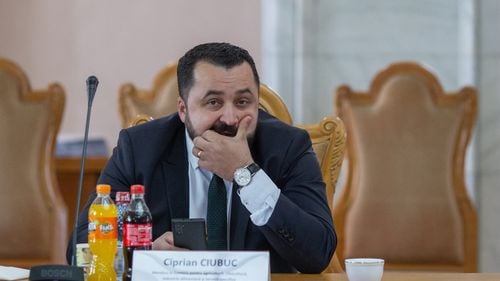 Deputatul Ciprian Ciubuc, urmărit penal pentru că ar fi distrus cu turma de oi o pajiște care nu îi aparține