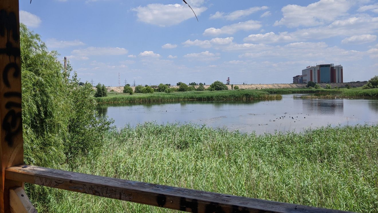 Ministerul Mediului anunță că planul de management al Parcului Văcărești costă 2 milioane de lei / Ce activităţi vor fi permise