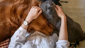 Durerea cauzată de dispariția animalului de companie este reală. Cum să faci față pierderii celui mai bun prieten al tău