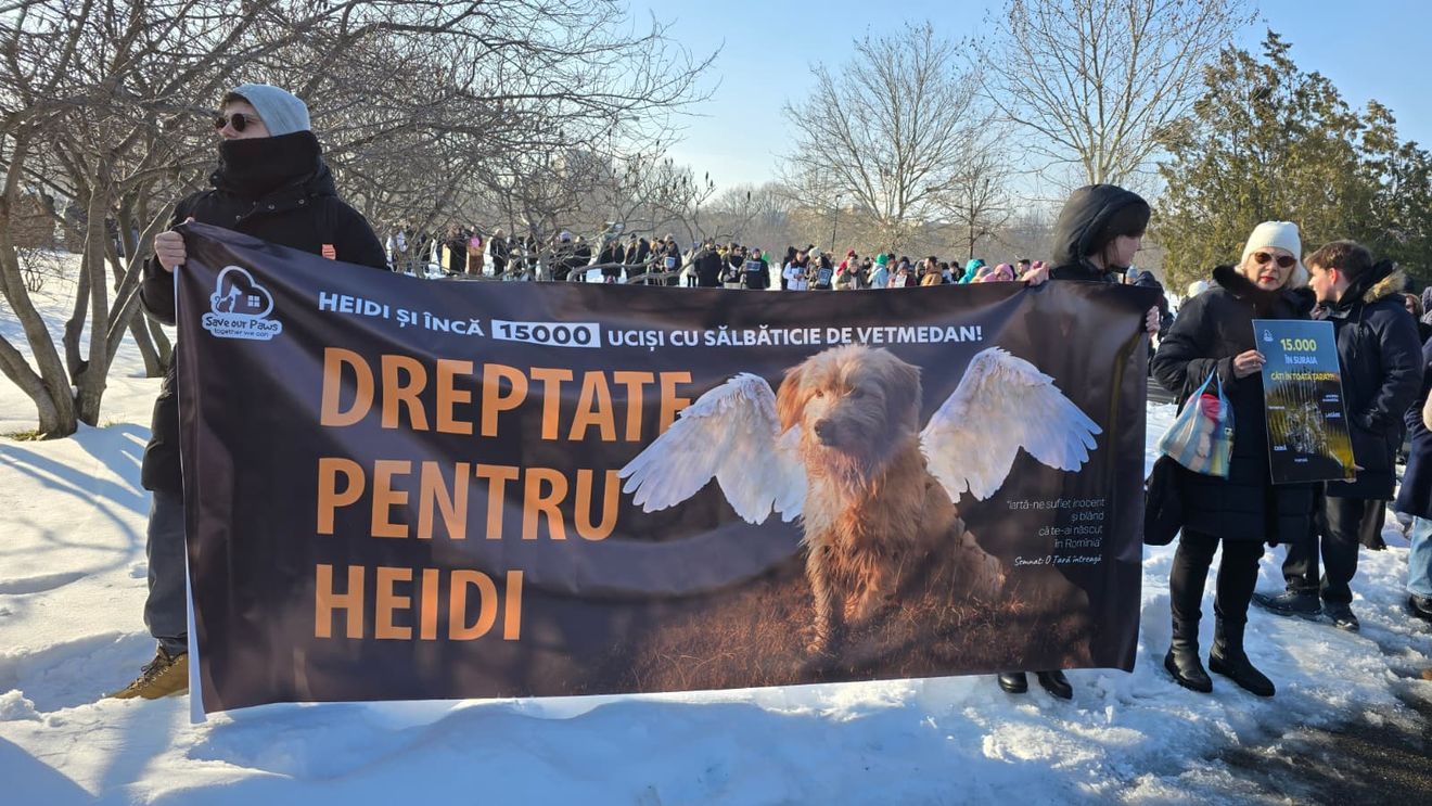 Protest în fața Parlamentului după dezvăluirile despre abuzurile din adăpostul Suraia: Sute de oameni cer dreptate pentru animale (FOTO & VIDEO)