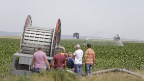 Petre Daea, raportând în miezul iernii producții record la hectar: Sunt doi ani consecutivi de când am depășit Franța la producția de porumb/ Nu se va mai da jos România de pe piedestal