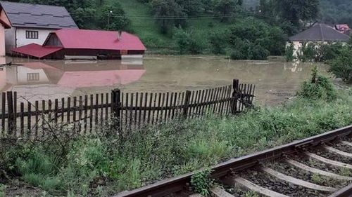 Localități din Bistrița Năsăud care își rad pădurile an de an, afectate cel mai grav de inundații / Doar din două comune au plecat sute de vagoane de lemne în primele luni din 2020