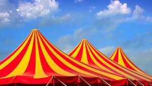 Acrobat rănit după o cădere de la patru metri, la un spectacol de circ din Craiova