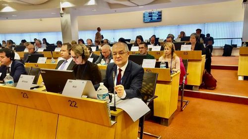 Emil Boc: Curtea Constituțională își abandonează rolul de “gardian al Constituției” și se amestecă în jocul politic intern / Cazul anticipatelor forțate de Schroder în Germania și decizia Tribunalului Constituțional