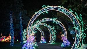 Ce poți face în acest weekend în București / Lista evenimentelor