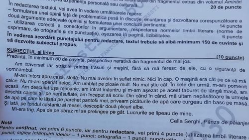 Subiecte clasa a XI-a simulare BAC 2019 – Ce subiecte au avut de rezolvat la simularea examenului de Limba și literatura română elevii de clasa a XI-a
