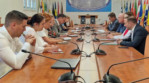 Producătorii vitivinicoli cer repornirea sistemului antigrindină / Ministrul interimar al Agriculturii pregăteşte măsuri de sprijin pentru sector