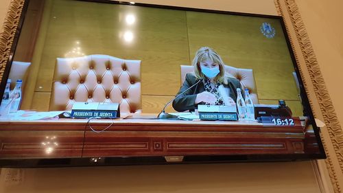 Florin Roman, PNL: Vom face toate demersurile necesare pentru demiterea Ancăi Dragu din fruntea Senatului! A reluat abuziv ședința, a comis un abuz în serviciu