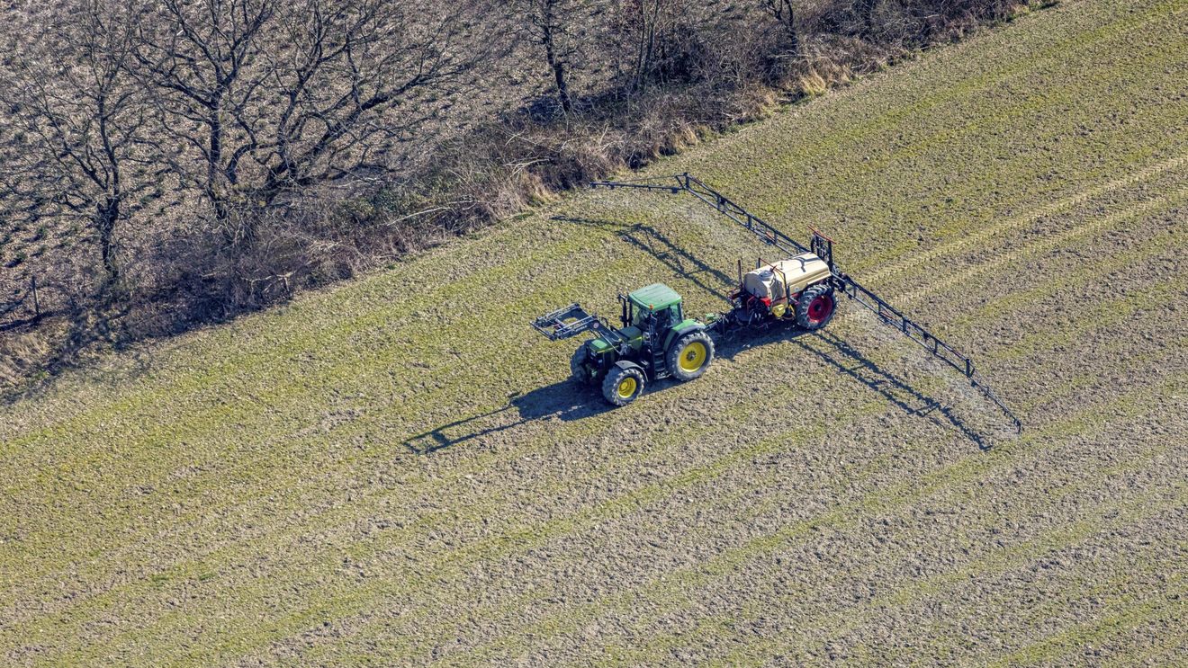 INVESTIGAȚIE | Zeci de milioane de euro din subvențiile UE pentru agricultură ajung la mari ferme deținute de firme din Emiratele Arabe Unite / Comisia Europeană ar putea modifica schema de acordare a banilor